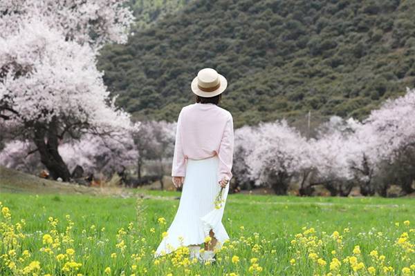 林芝去波密一般住哪里方便 林芝去波密一般住哪里方便