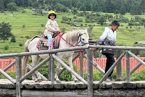 林芝到鲁朗多少公里 林芝到鲁朗多少公里