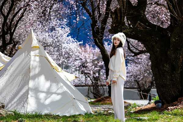 三月初去西藏能看到桃花吗 三月初去西藏能看到桃花吗