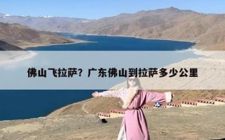 佛山飞拉萨？广东佛山到拉萨多少公里