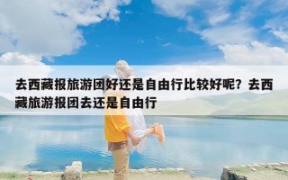 去西藏报旅游团好还是自由行比较好呢？去西藏旅游报团去还是自由行