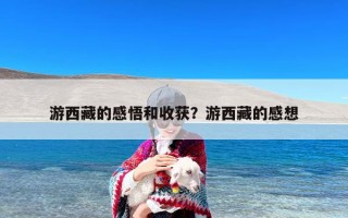 游西藏的感悟和收获？游西藏的感想