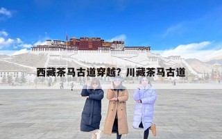 西藏茶马古道穿越？川藏茶马古道