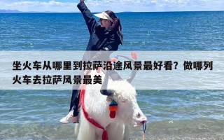 坐火车从哪里到拉萨沿途风景最好看？做哪列火车去拉萨风景最美