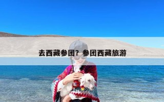 去西藏参团？参团西藏旅游