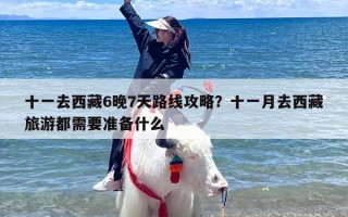 十一去西藏6晚7天路线攻略？十一月去西藏旅游都需要准备什么