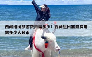 西藏组团旅游费用需多少？西藏组团旅游费用需多少人民币