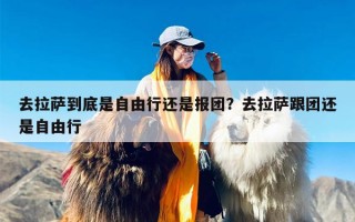 去拉萨到底是自由行还是报团？去拉萨跟团还是自由行