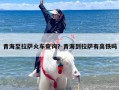 青海至拉萨火车查询？青海到拉萨有高铁吗