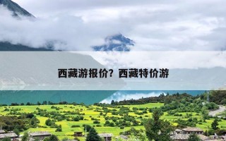 西藏游报价？西藏特价游