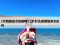 1月西藏适合旅游吗？1月份去西藏旅游合适吗