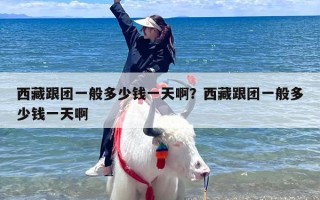 西藏跟团一般多少钱一天啊？西藏跟团一般多少钱一天啊