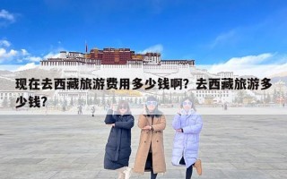 现在去西藏旅游费用多少钱啊？去西藏旅游多少钱?
