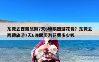 东莞去西藏旅游7天6晚跟团游花费？东莞去西藏旅游7天6晚跟团游花费多少钱