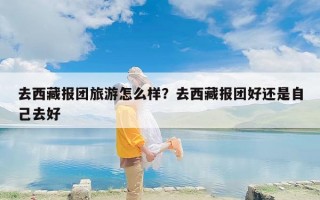 去西藏报团旅游怎么样？去西藏报团好还是自己去好