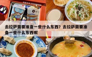 去拉萨需要准备一些什么东西？去拉萨需要准备一些什么东西呢