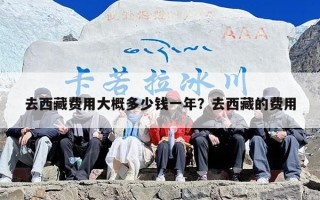 去西藏费用大概多少钱一年？去西藏的费用