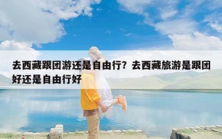 去西藏跟团游还是自由行？去西藏旅游是跟团好还是自由行好