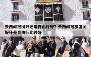 去西藏报团好还是自由行好？去西藏报旅游团好还是自由行比较好
