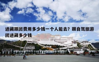 进藏跟团费用多少钱一个人能去？跟自驾旅游团进藏多少钱