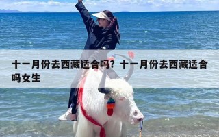 十一月份去西藏适合吗？十一月份去西藏适合吗女生