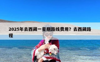 2025年去西藏一星期路线费用？去西藏路程