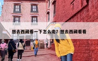 想去西藏看一下怎么走？想去西藏看看