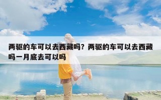两驱的车可以去西藏吗？两驱的车可以去西藏吗一月底去可以吗