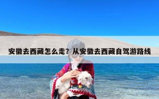 安徽去西藏怎么走？从安徽去西藏自驾游路线
