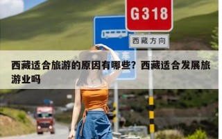 西藏适合旅游的原因有哪些？西藏适合发展旅游业吗