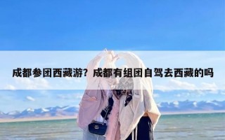 成都参团西藏游？成都有组团自驾去西藏的吗