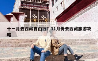 十一月去西藏自由行？11月份去西藏旅游攻略