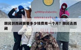 跟团到西藏需要多少钱费用一个月？跟团去西藏