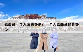 去西藏一个人消费多少？一个人去西藏预算多少
