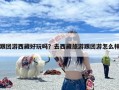跟团游西藏好玩吗？去西藏旅游跟团游怎么样