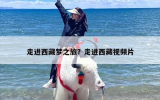 走进西藏梦之旅？走进西藏视频片