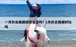 一月份去西藏旅游合适吗？1月份去西藏好玩吗