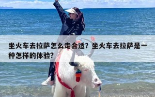 坐火车去拉萨怎么走合适？坐火车去拉萨是一种怎样的体验?