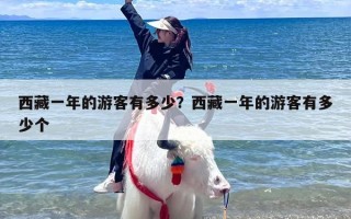 西藏一年的游客有多少？西藏一年的游客有多少个