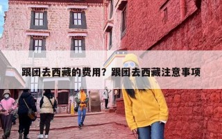 跟团去西藏的费用？跟团去西藏注意事项