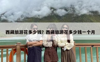 西藏旅游花多少钱？西藏旅游花多少钱一个月
