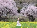 林芝到察隅县途经鲁朗波密