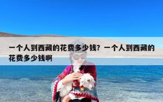 一个人到西藏的花费多少钱？一个人到西藏的花费多少钱啊