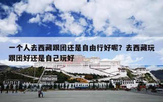一个人去西藏跟团还是自由行好呢？去西藏玩跟团好还是自己玩好