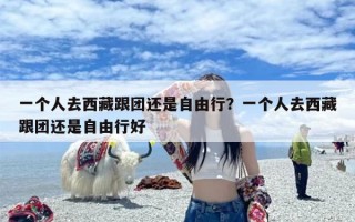 一个人去西藏跟团还是自由行？一个人去西藏跟团还是自由行好