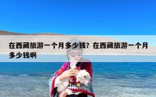 在西藏旅游一个月多少钱？在西藏旅游一个月多少钱啊