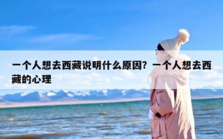一个人想去西藏说明什么原因？一个人想去西藏的心理