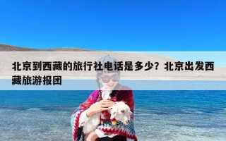北京到西藏的旅行社电话是多少？北京出发西藏旅游报团