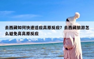 去西藏如何快速适应高原反应？去西藏旅游怎么避免高高原反应