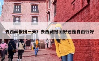 去西藏报团一天？去西藏报团好还是自由行好